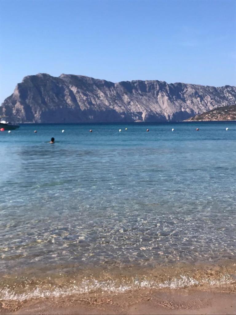 Al Faro , La Cinta ,san Teodoro