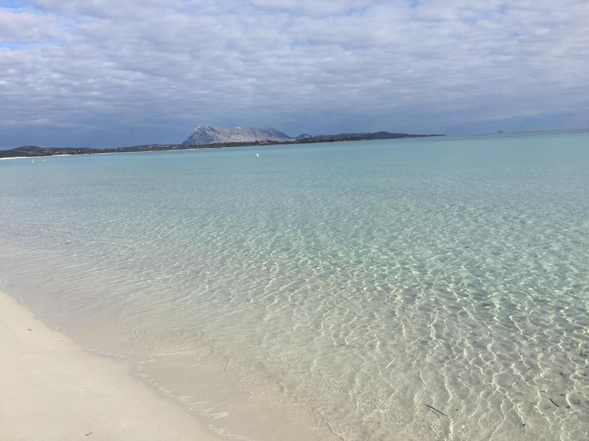 Al Faro , La Cinta ,san Teodoro